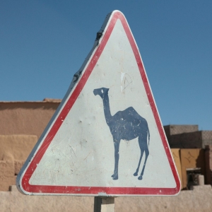 Sahara Tour camel sign
