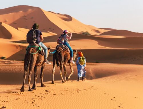 Unforgettable Morocco Travel Packages: Explore The Magic With Deep Morocco Tours