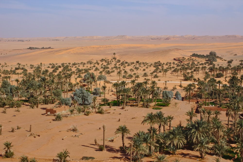 Aerial,View,Of,The,Oasis,Of,The,Sahara,Desert,,Africa